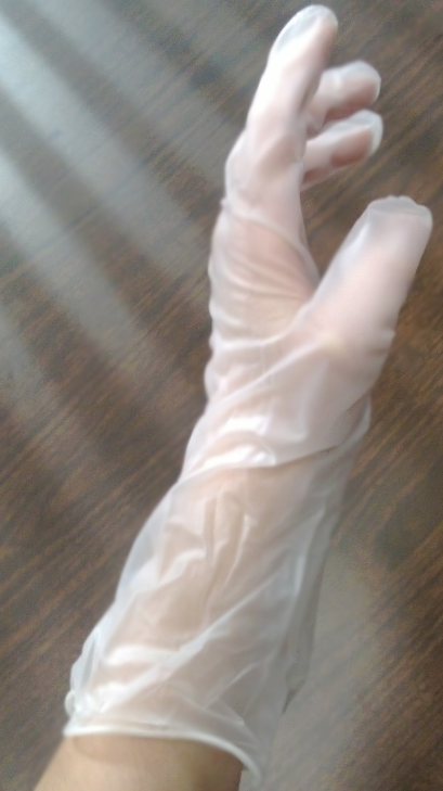  Gloves 12" Powder Free Vinyl Zip Lock BagOak Gloves